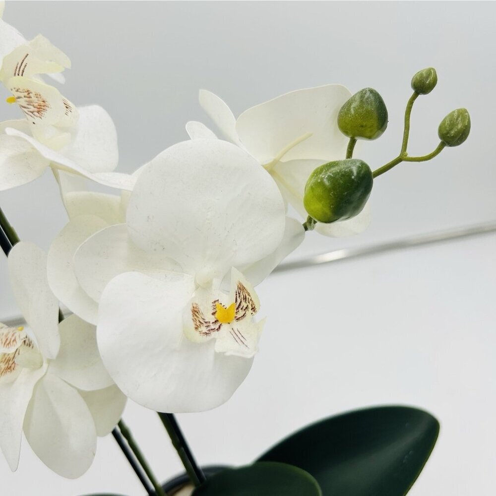 White Phalaenopsis 19" Orchid Artificial Flowers with Black Vase Arrangement - Picture 4 of 9